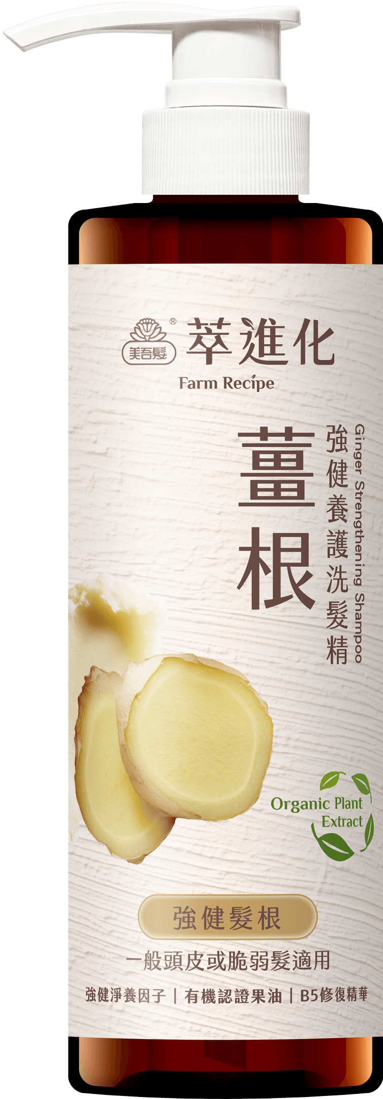 薑根強健養護洗髮精520ml